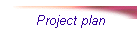 Project plan